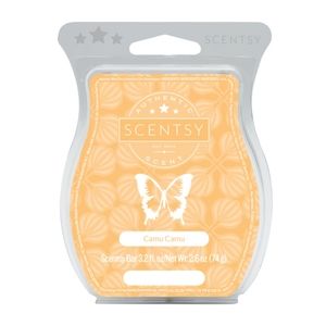 Scentsy Bars